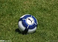 激情对决,拜仁逆转柏,林联合,开云体育,KaiYun,Sports,开云体育注册网址,开云体育app,开云体育官网,开云体育网站,开云体育下载