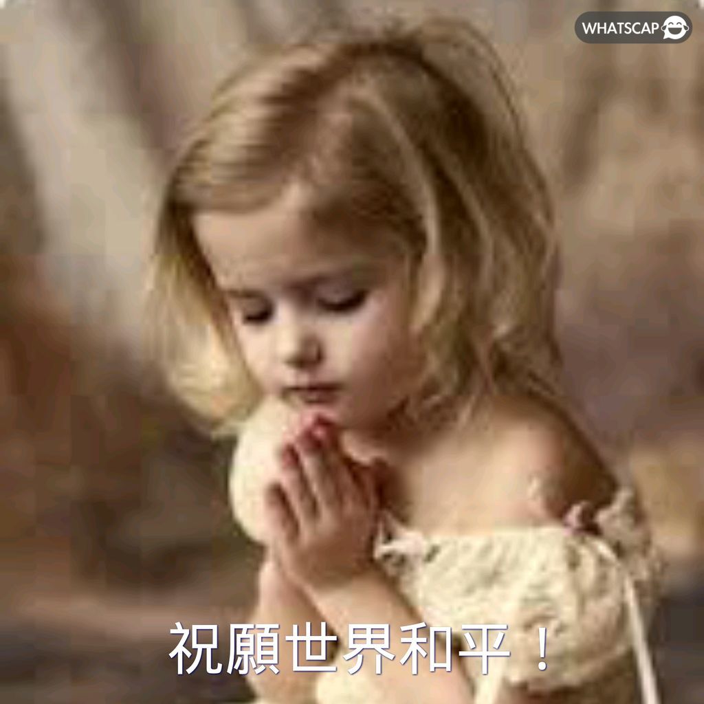 贝西克塔斯,副主席称基,耶萨索要,开云体育,KaiYun,Sports,开云体育注册网址,开云体育app,开云体育官网,开云体育网站,开云体育下载