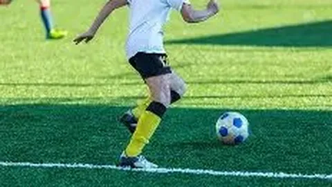 开云体育 资讯 083346 zoo